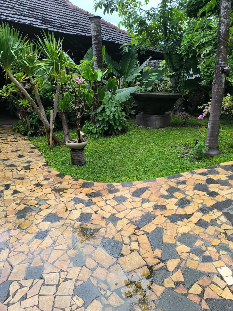 Garden view