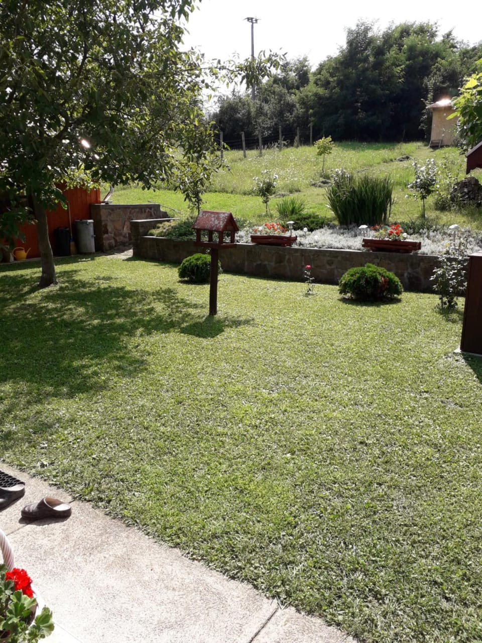 Garden view