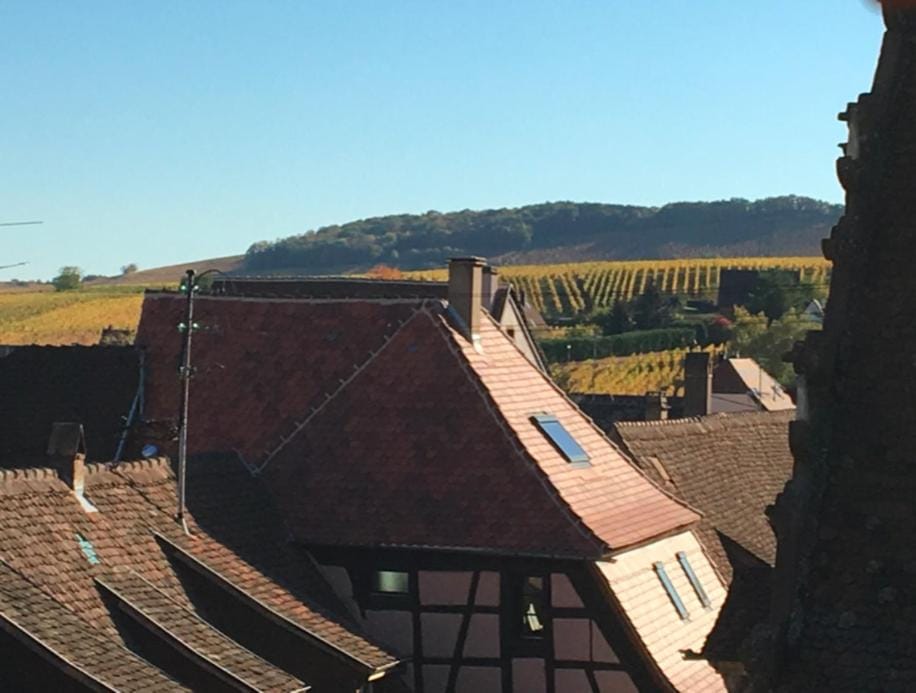 View (from property/room)