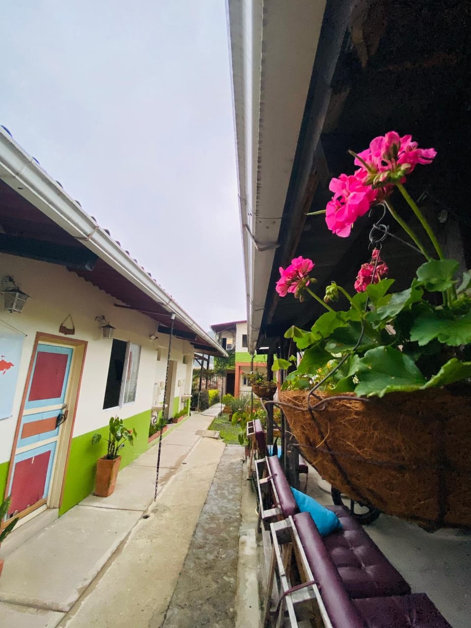 Garden view