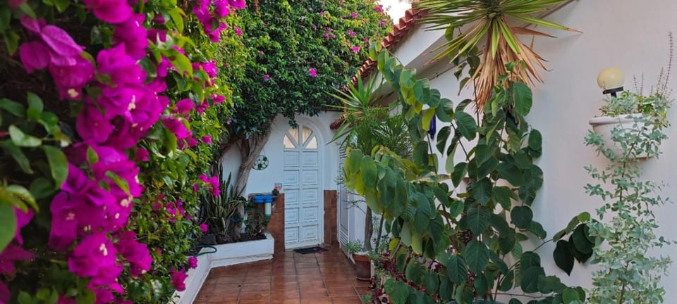Property building, Facade/entrance, Garden