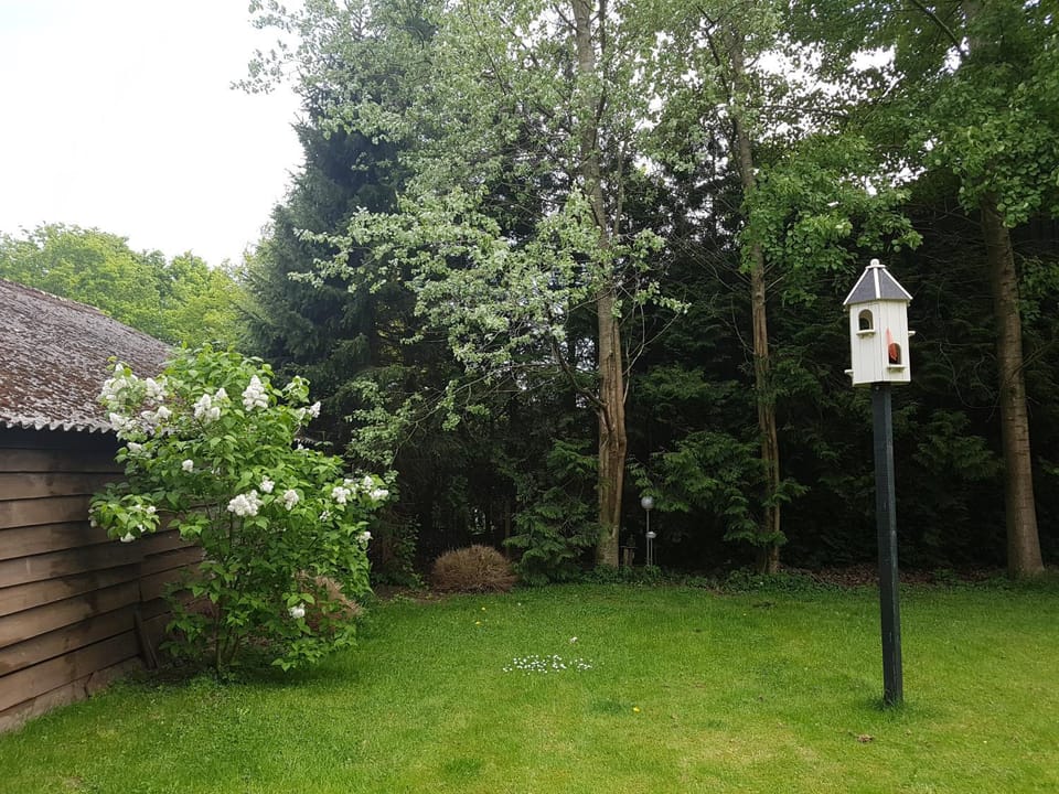 B&B de Panheide Bed and Breakfast in Drenthe (province)