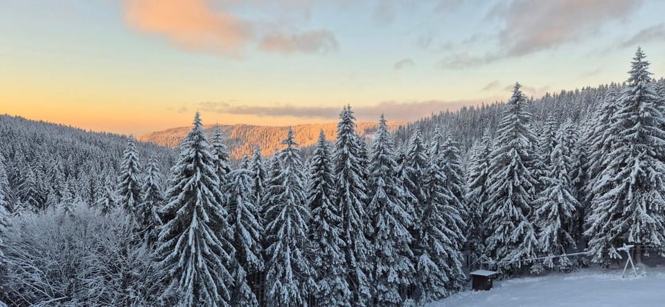 Natural landscape, Winter, Mountain view