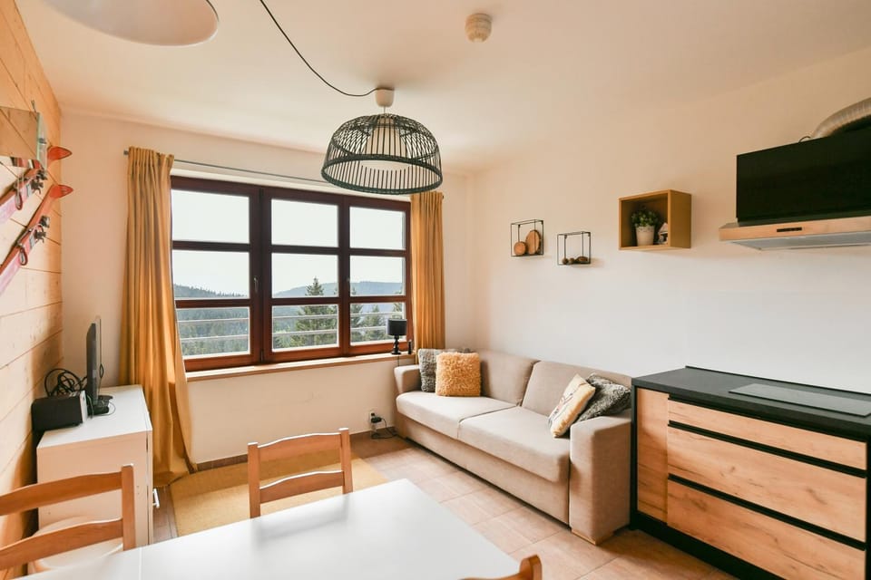 Horský apartmán Cihlářka 306 Apartment in Lower Silesian Voivodeship