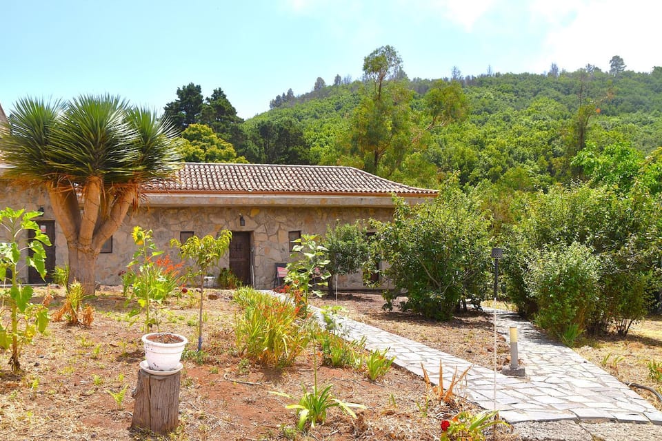 Property building, Spring, Day, Natural landscape, Garden, Garden view, Mountain view