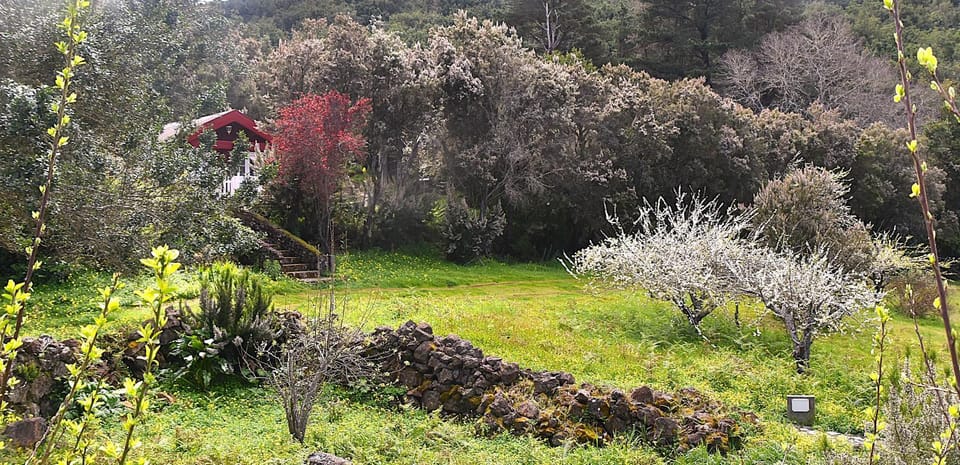 Property building, Spring, Day, Natural landscape, Garden, Garden view