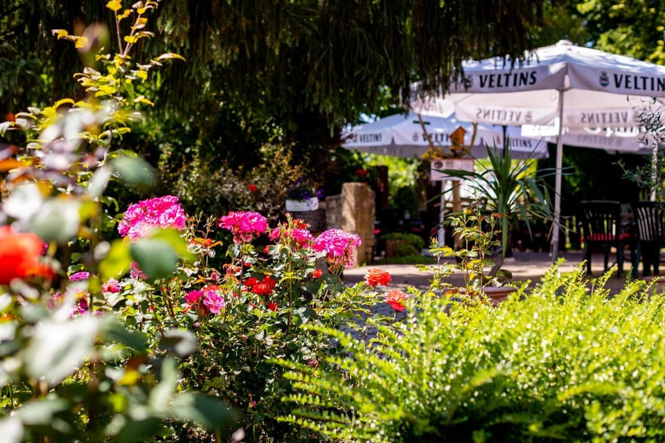 Patio, Garden