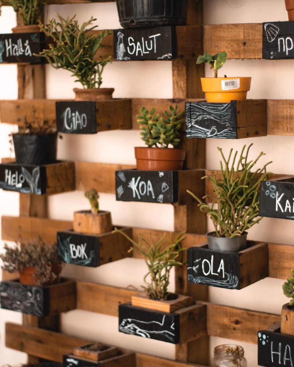 Chepatagonia Hostel & Coworking Hostel in Puerto Madryn