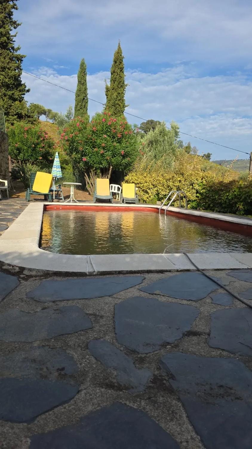 Charming Villa with Private Pool in Lamego Villa in Vila Real District