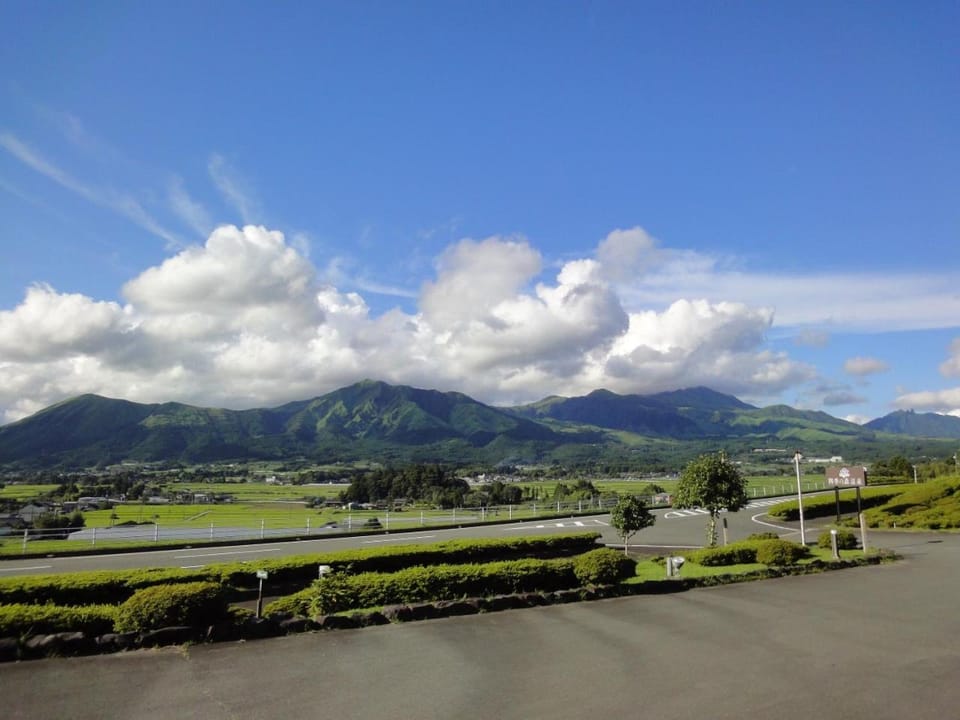 View (from property/room)