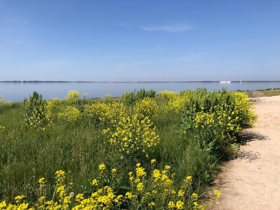 Nearby landmark, Natural landscape, Beach, River view