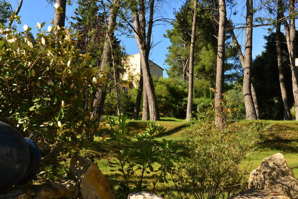 Property building, Garden, Street view