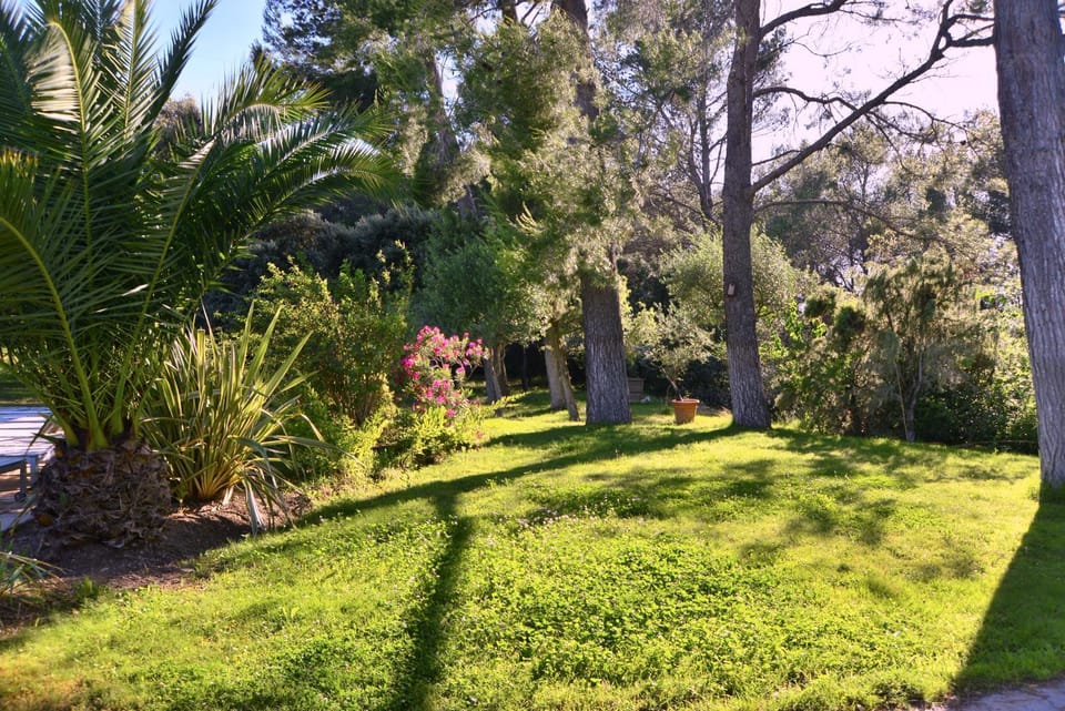Garden, Swimming pool