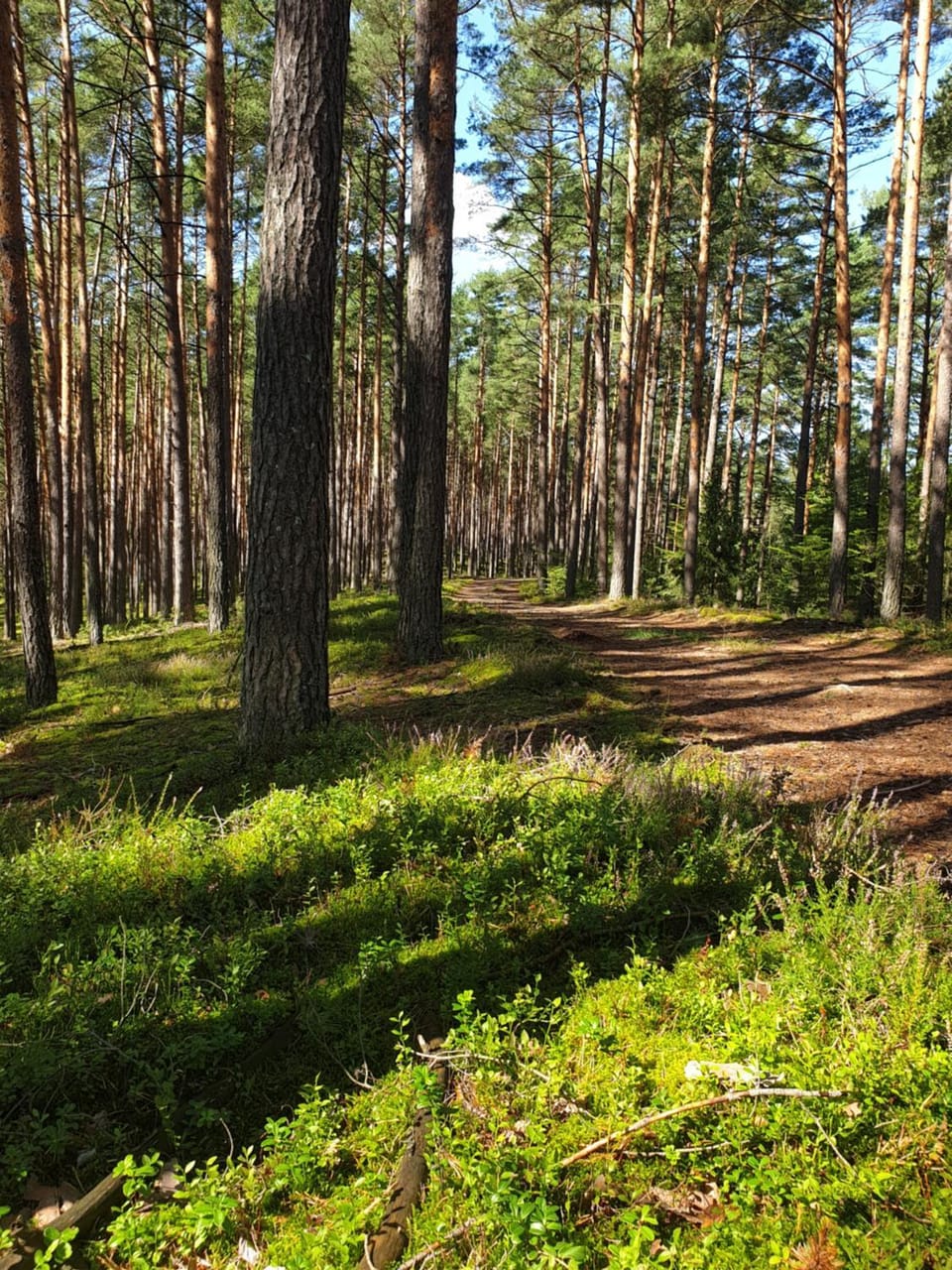 Natural landscape