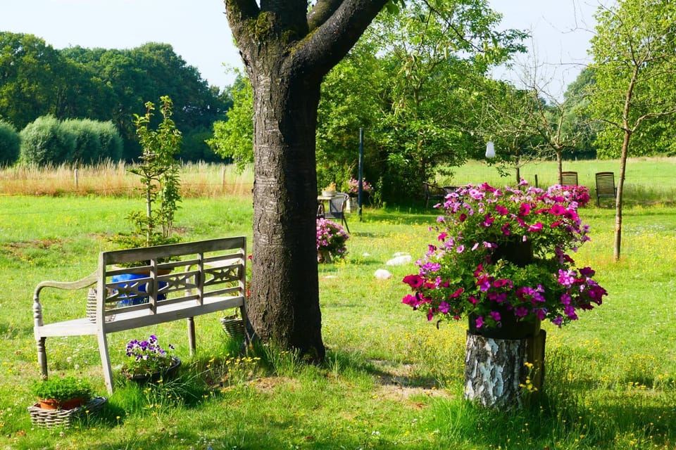 Natural landscape