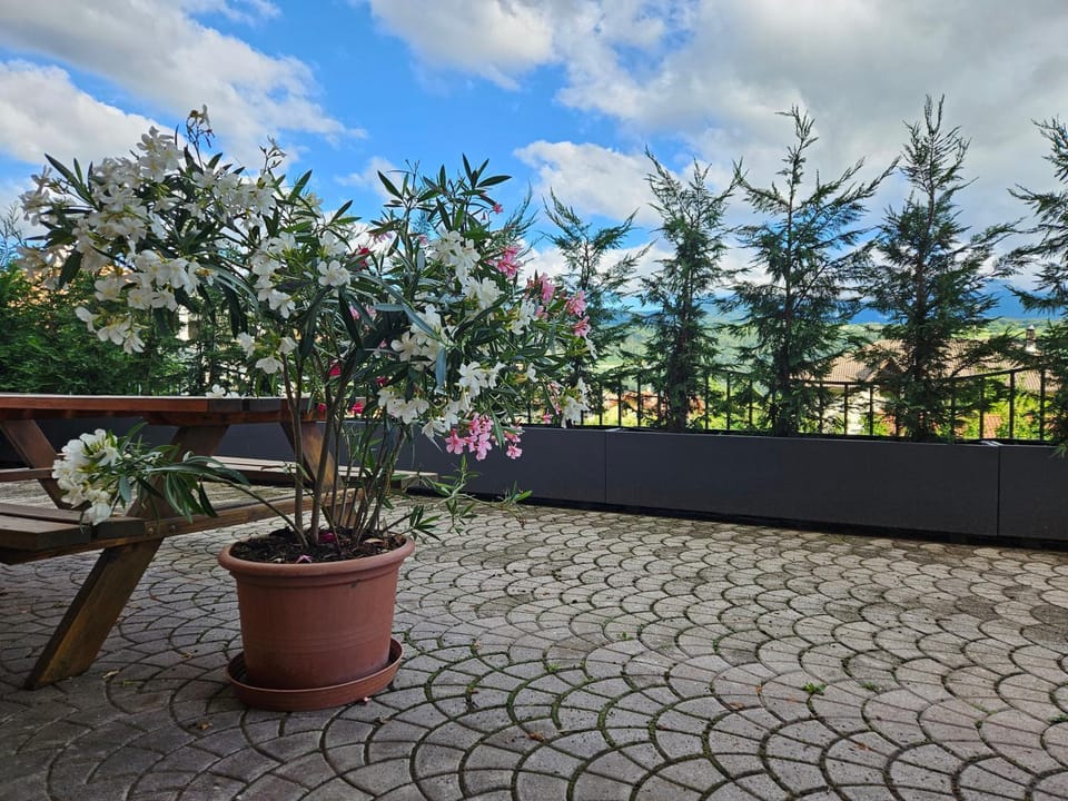 Belsogno B&B Farm Stay in Trentino-South Tyrol