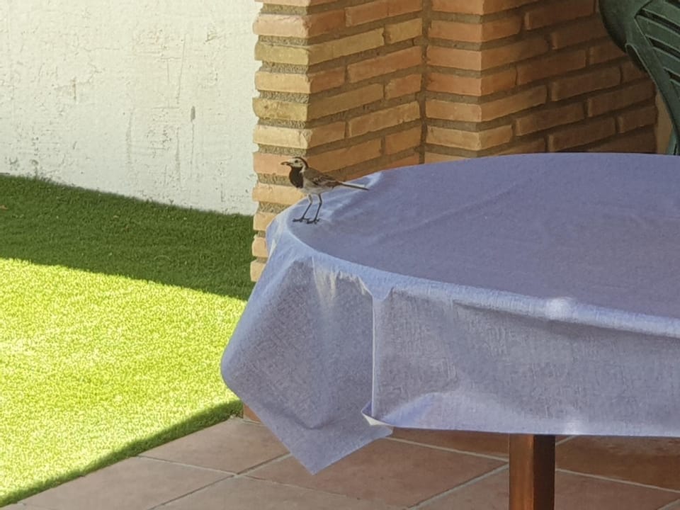 BBQ facilities