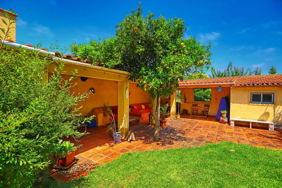 Garden, Balcony/Terrace, Lounge or bar, Internal: Not applicable to any particular room