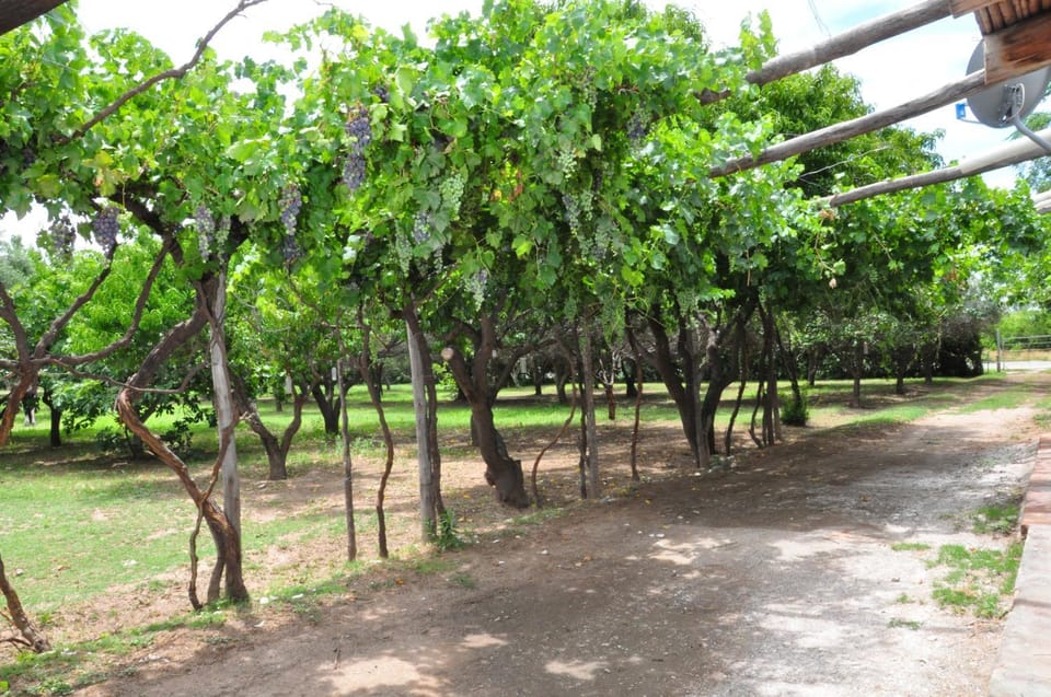 Garden, Garden view
