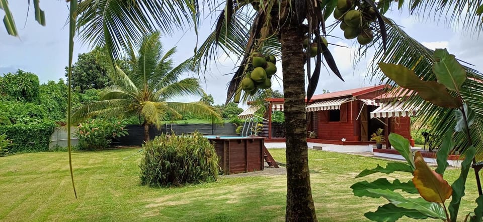Garden, Garden view