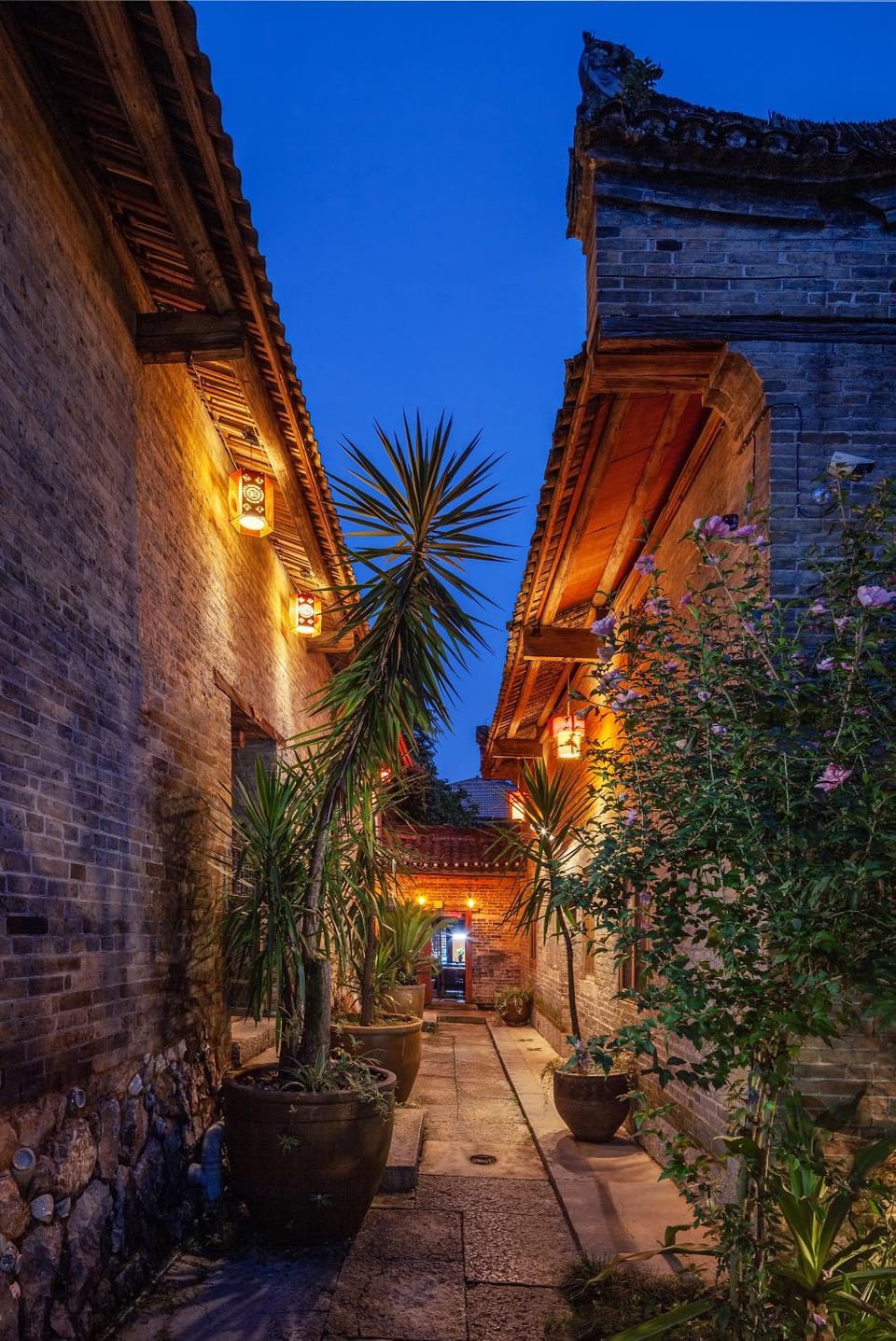 Property building, Night, Garden, Garden