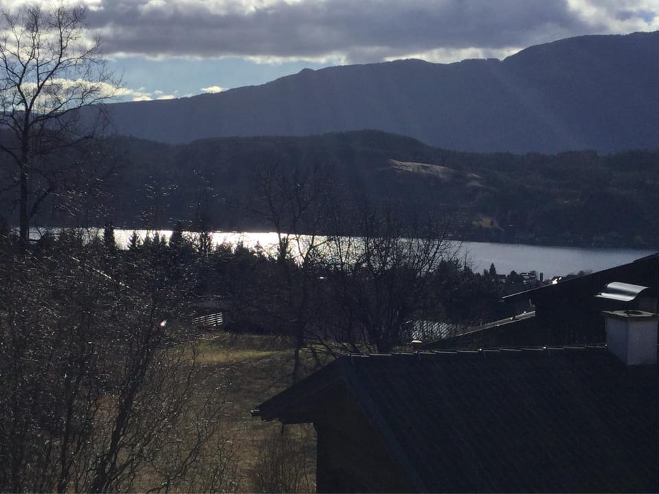 Lake view