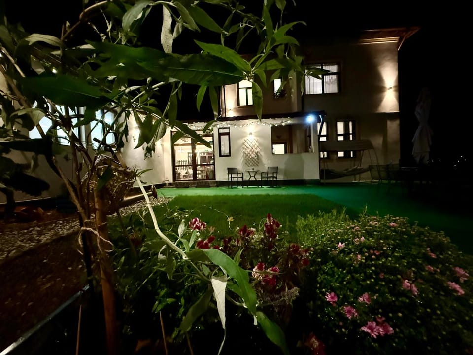 Property building, Night, Garden, Garden view