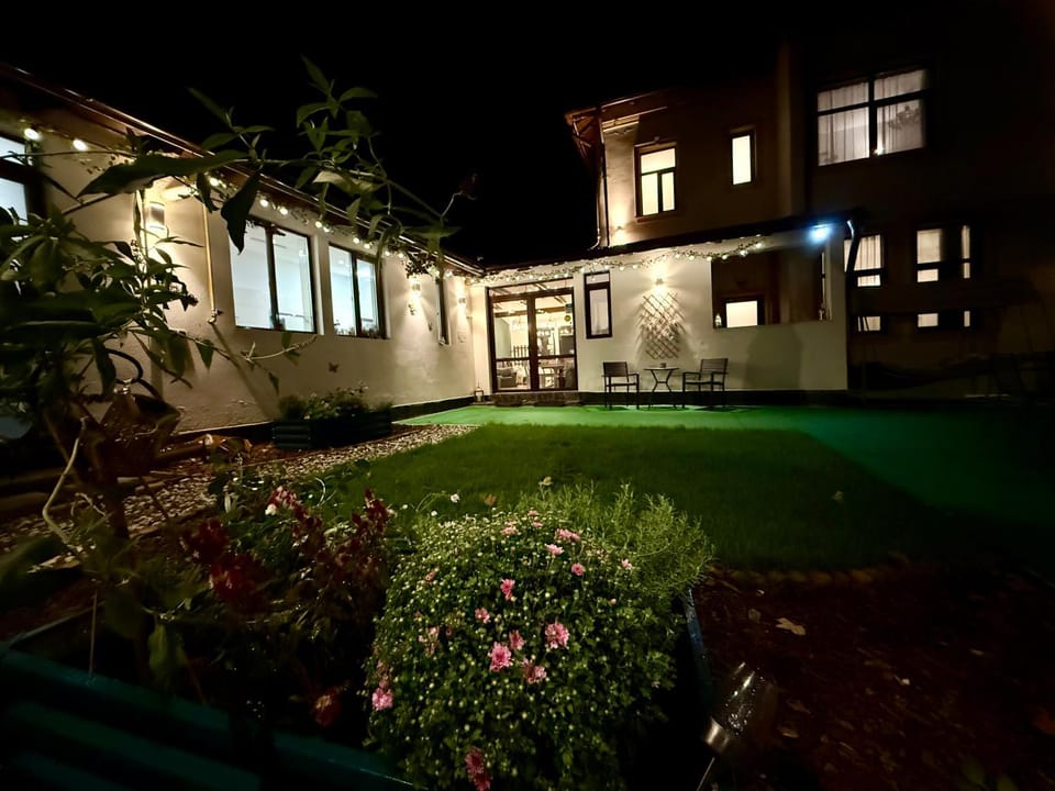Property building, Night, Garden, Garden view