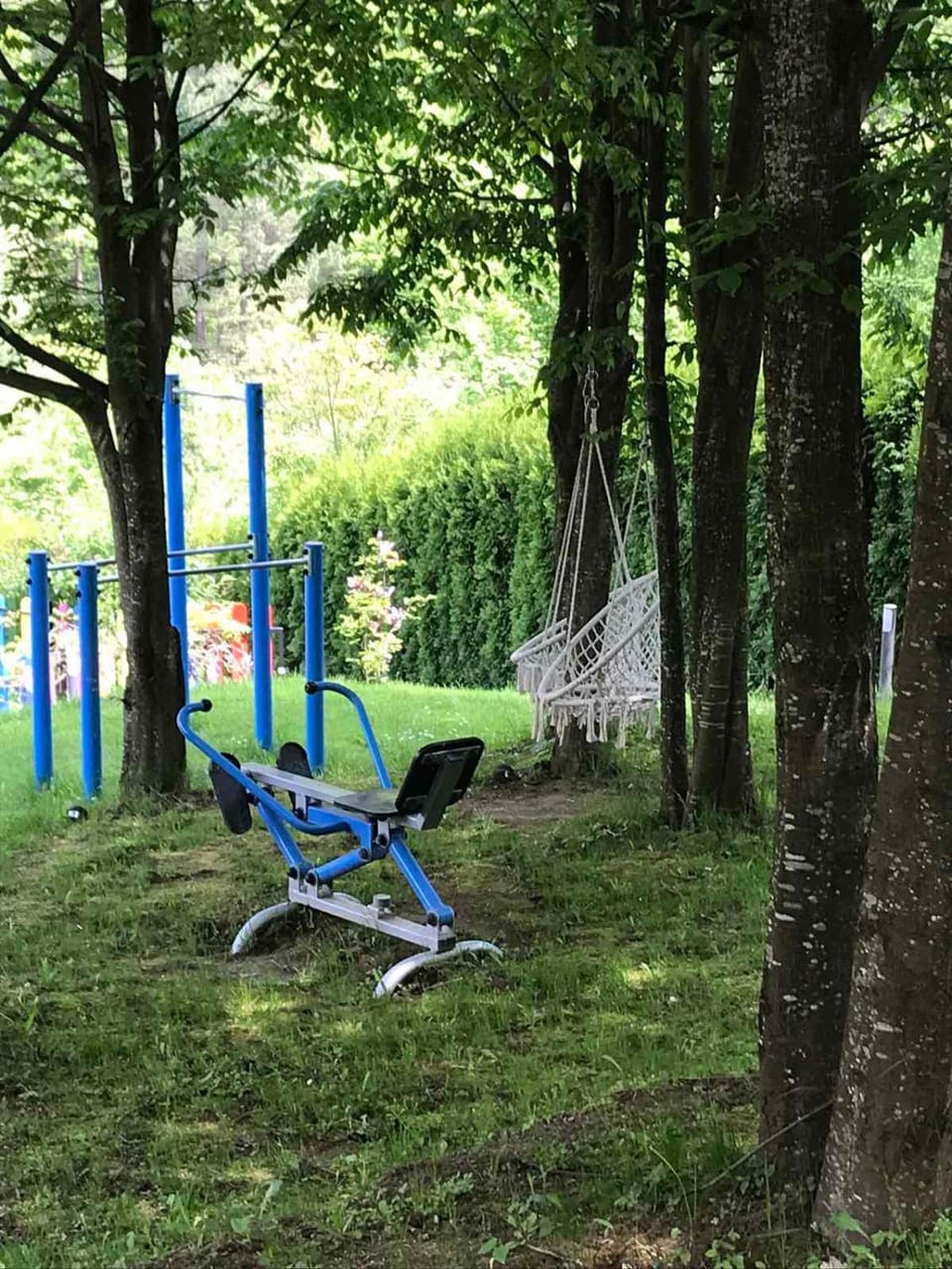 Garden view