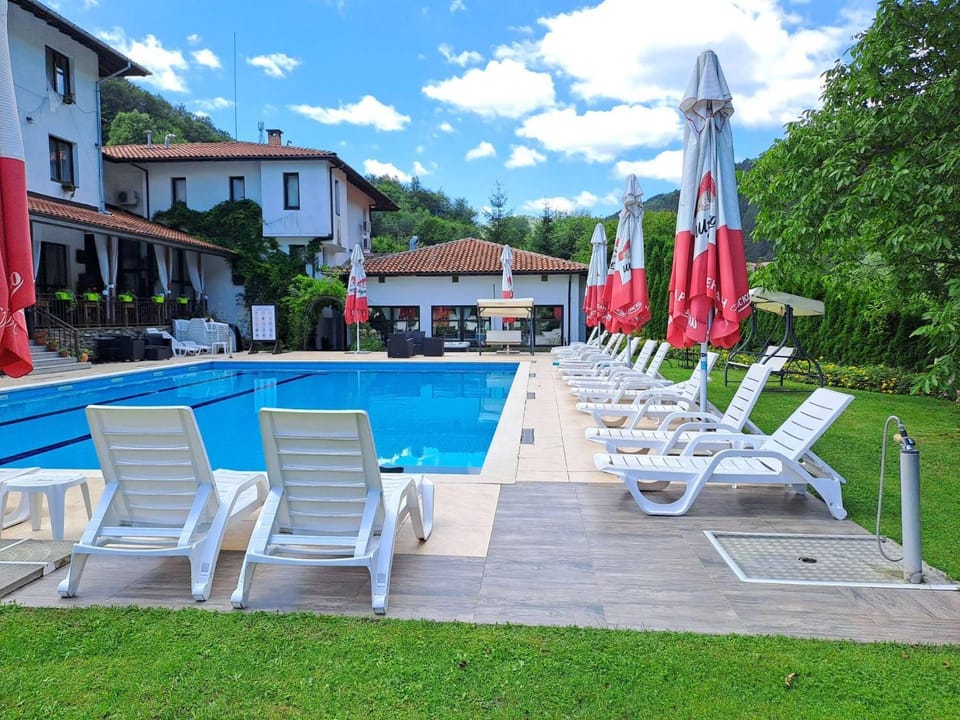 Patio, Spring, Day, Garden, Pool view, sunbed