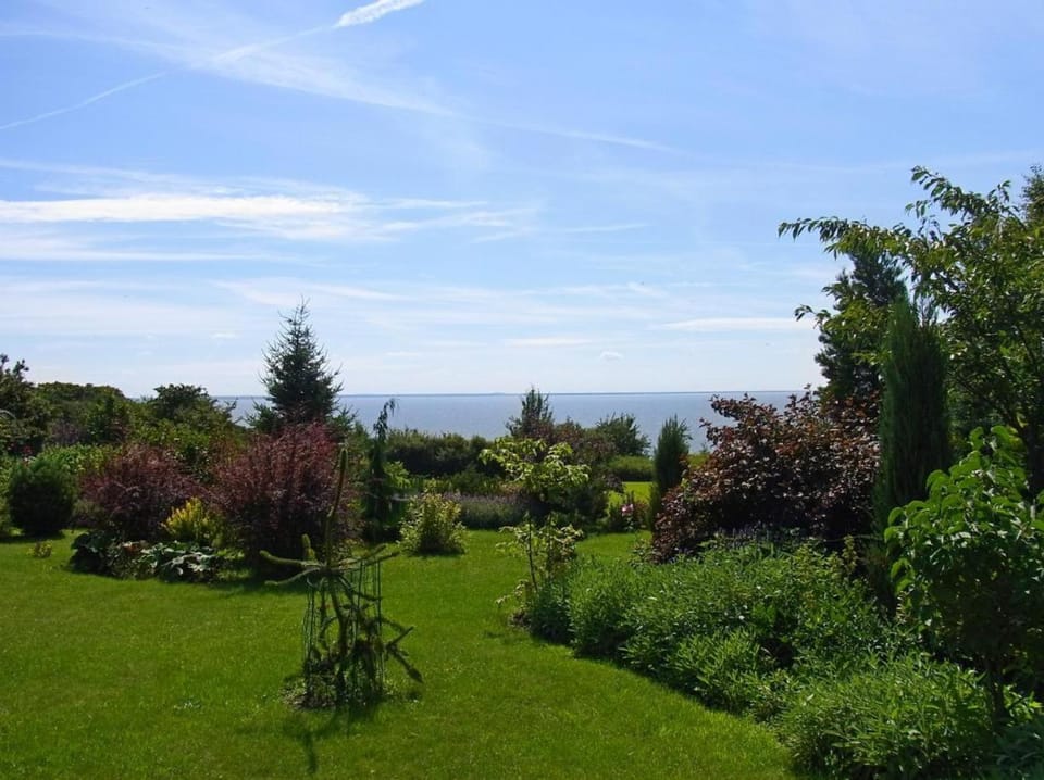 Natural landscape, Garden