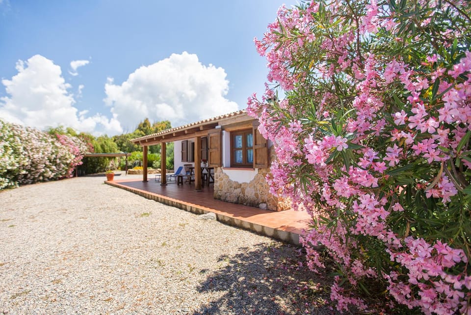 Property building, Garden view