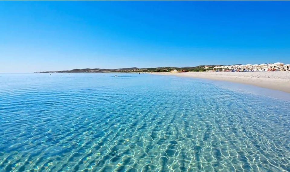 Cervi flat close to the sea and the historic centre of Alghero Apartment in Alghero