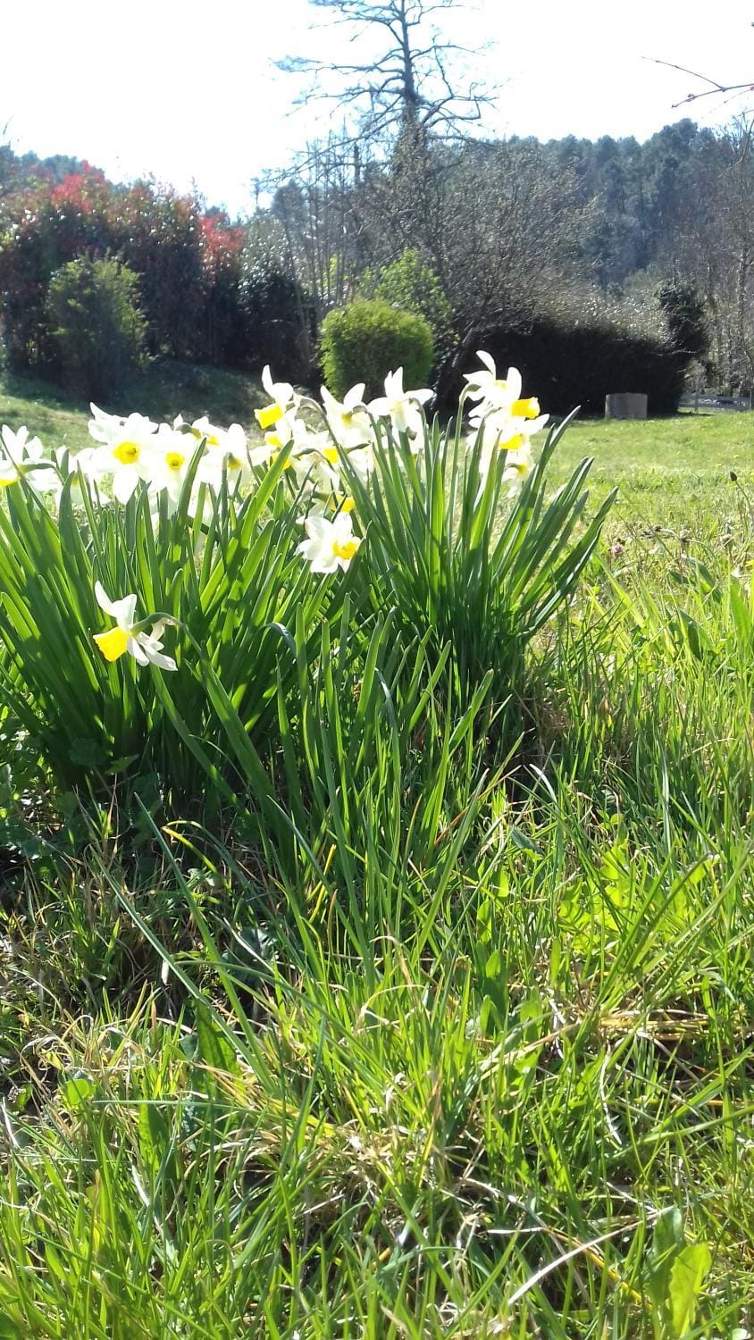 Mas la Tabatière Bed and Breakfast in Auvergne-Rhône-Alpes
