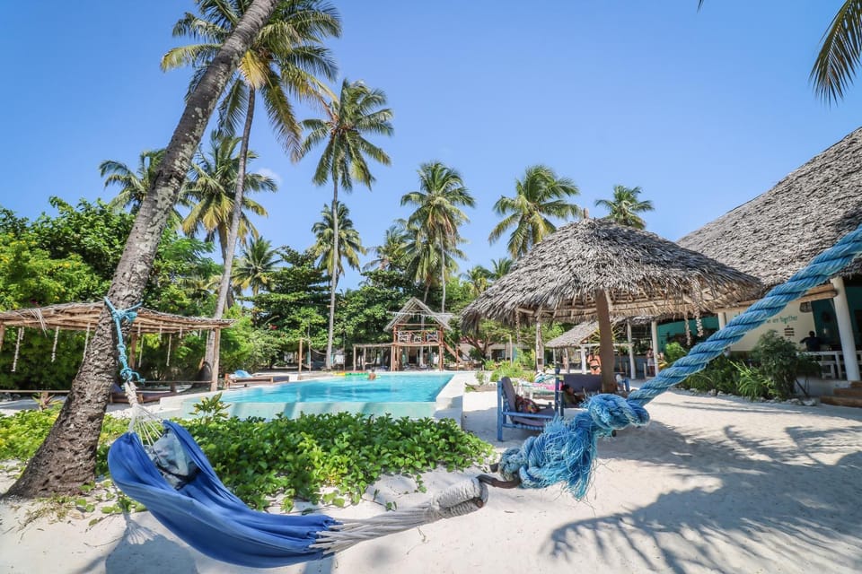 Garden, Pool view, Swimming pool