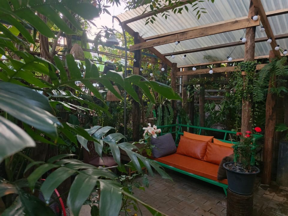 Natural landscape, Garden, Seating area