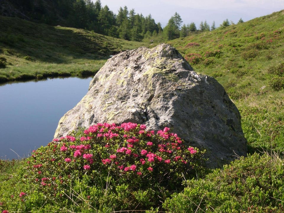 Spring, Hiking, Area and facilities