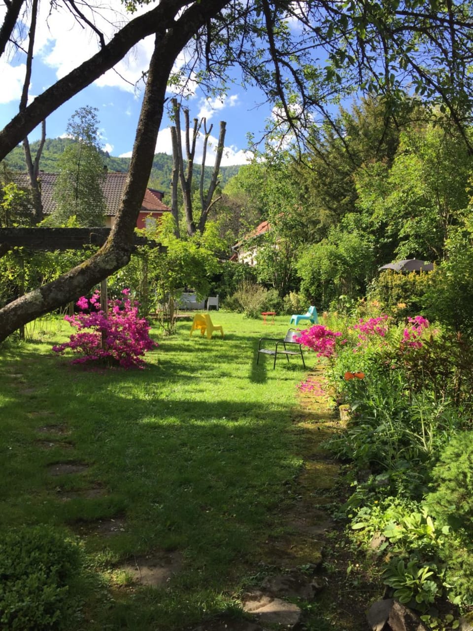 Garden