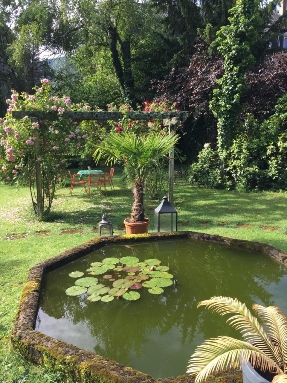 Garden view