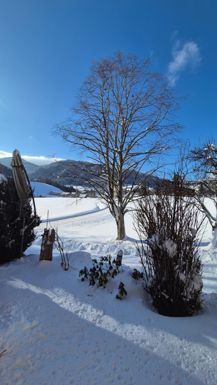 Ferienhaus Elisabeth Apartment in Salzburgerland