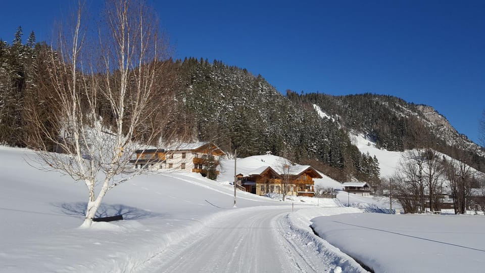 Ferienhaus Elisabeth Apartment in Salzburgerland