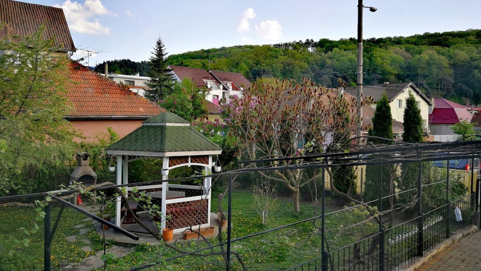 View (from property/room)