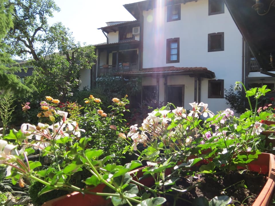 Oazis Guesthouse Bed and Breakfast in Bulgaria