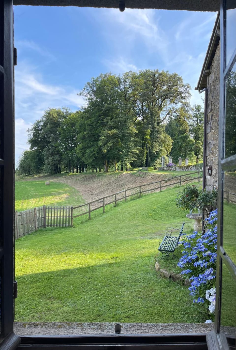 Garden view