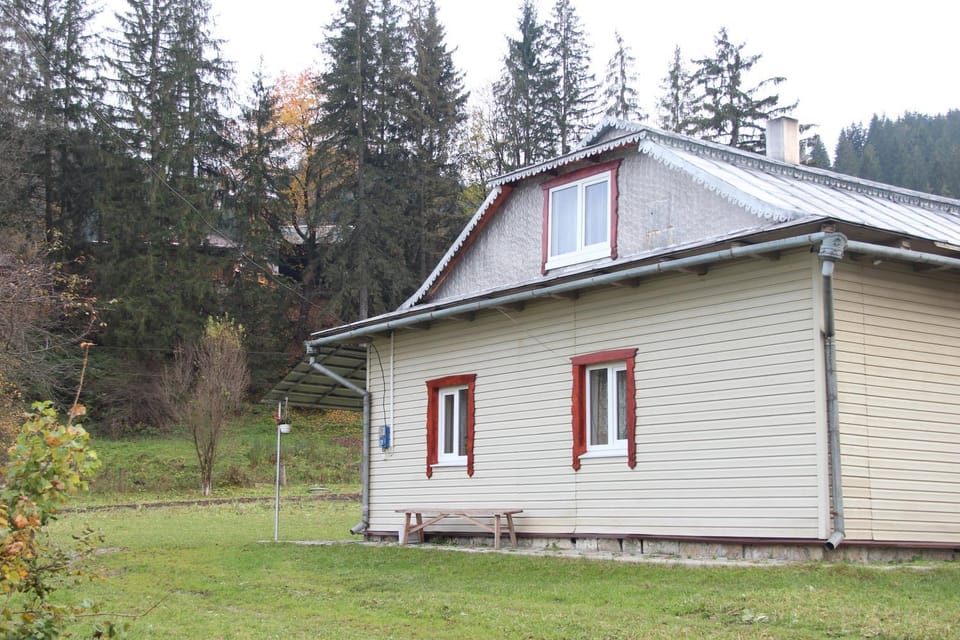 У МИХАЙЛА під лісом Bed and Breakfast in Romania