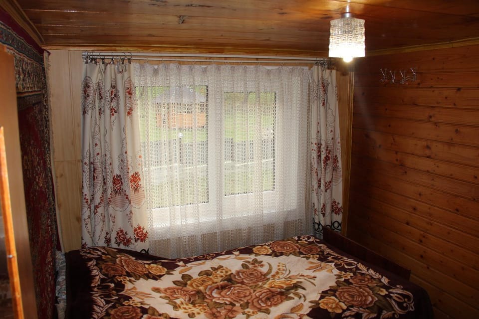 У МИХАЙЛА під лісом Bed and Breakfast in Romania