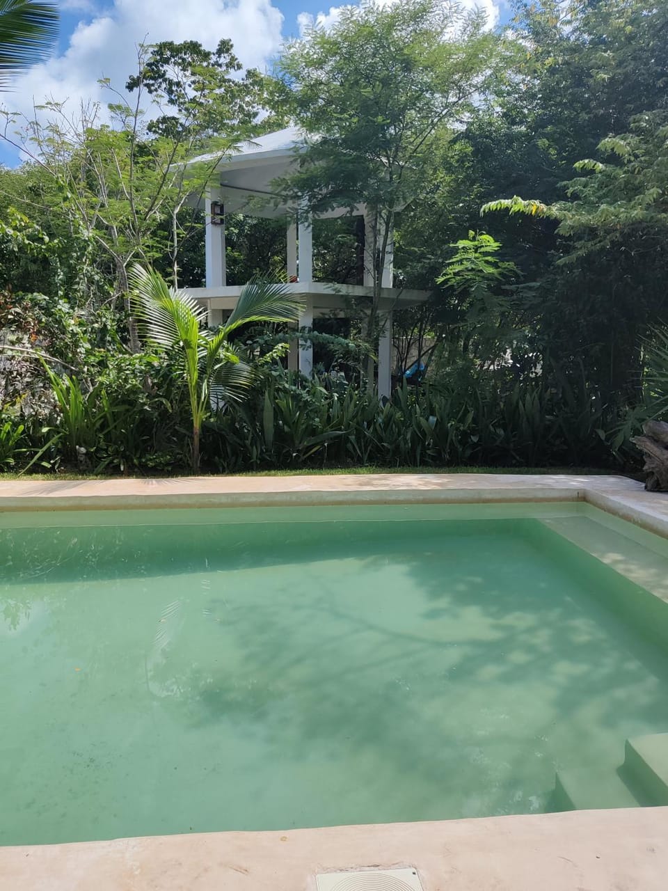 Natural landscape, Garden, Garden view, Pool view, Swimming pool