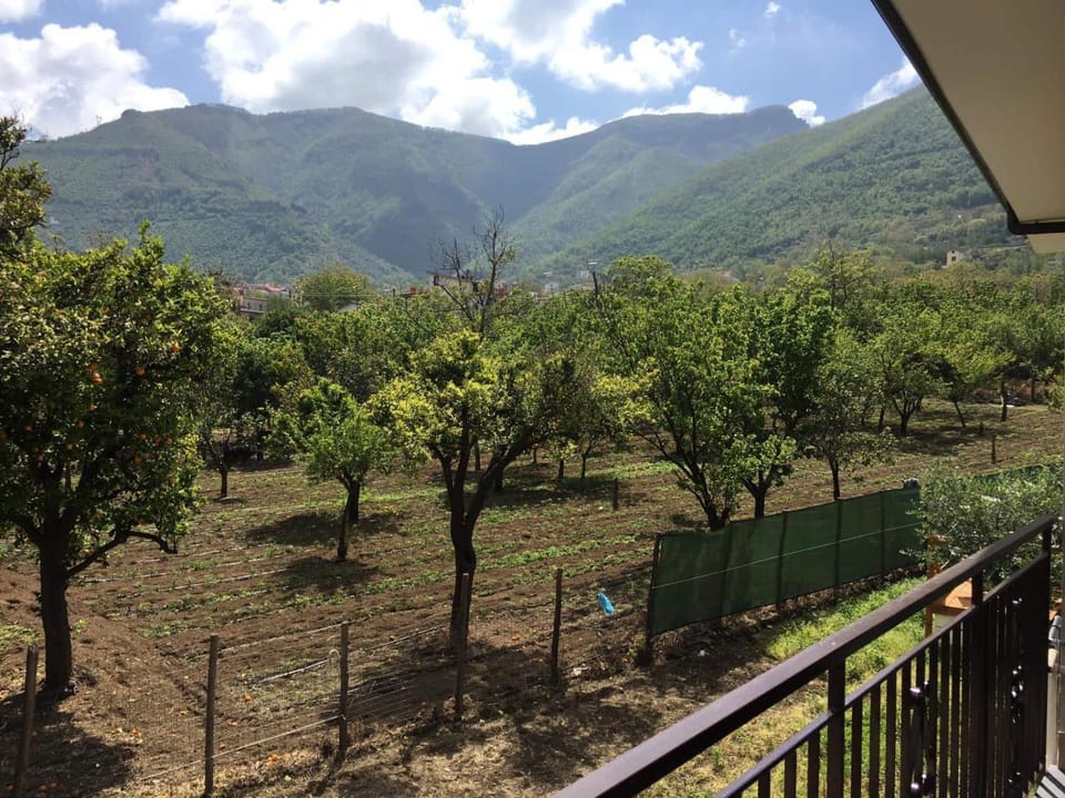 B & B Evergreen Bed and Breakfast in Campania