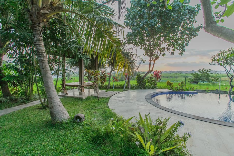 View (from property/room), Garden view, Garden view, Pool view, Swimming pool