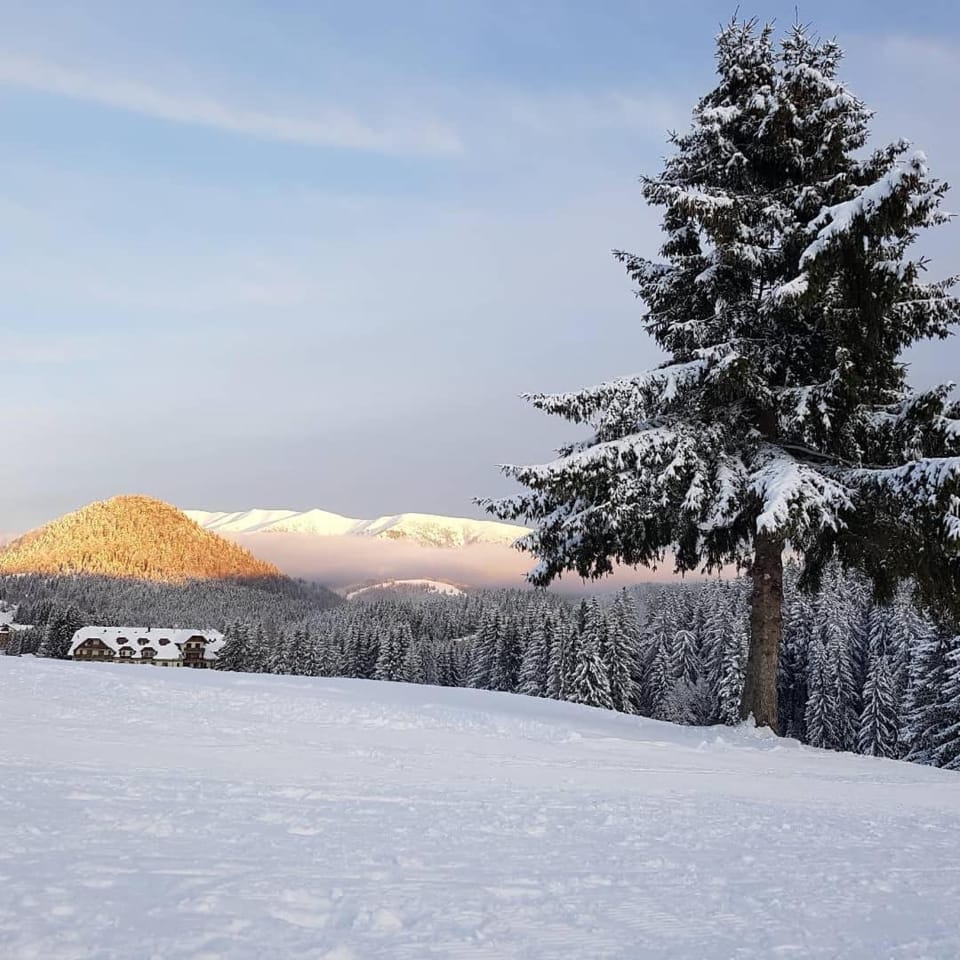 Mountain view